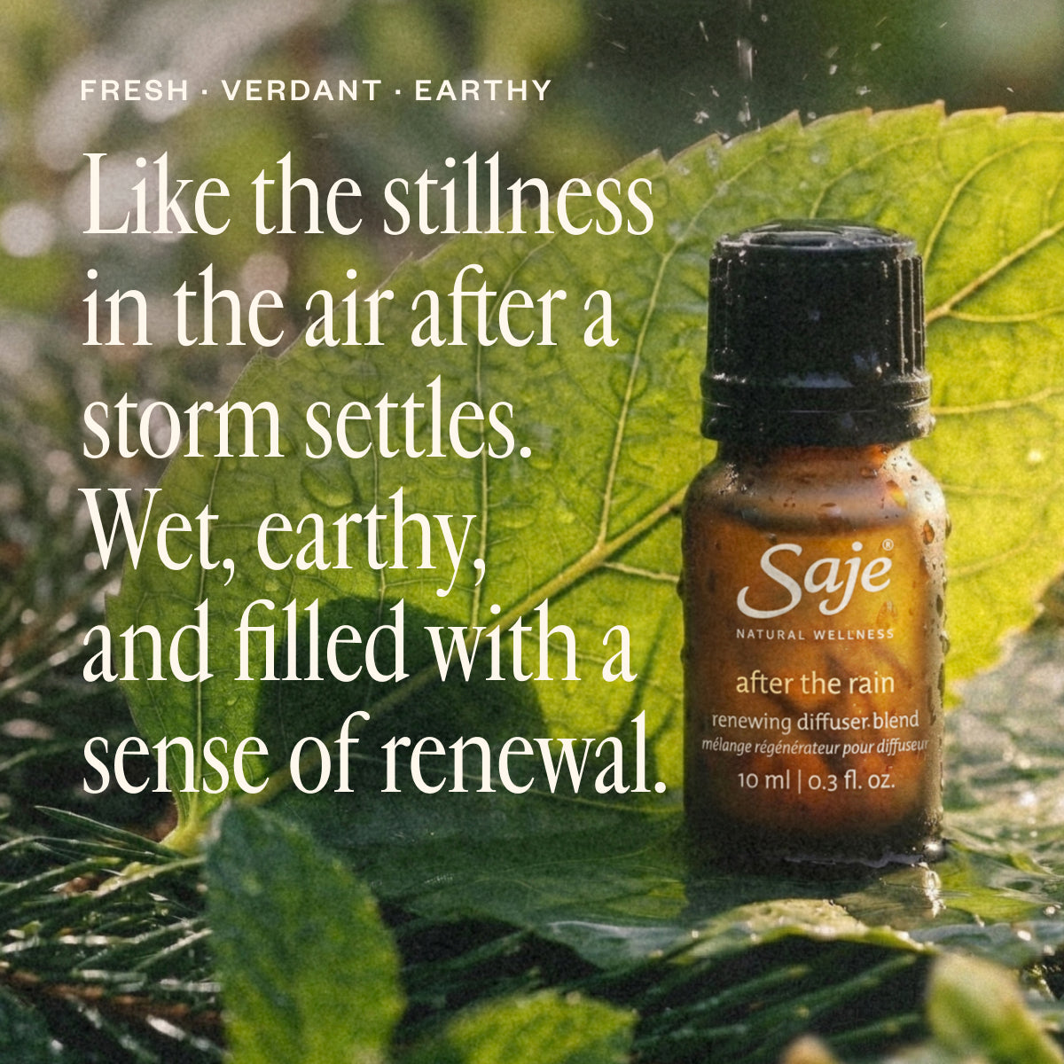 Drive Renewed
