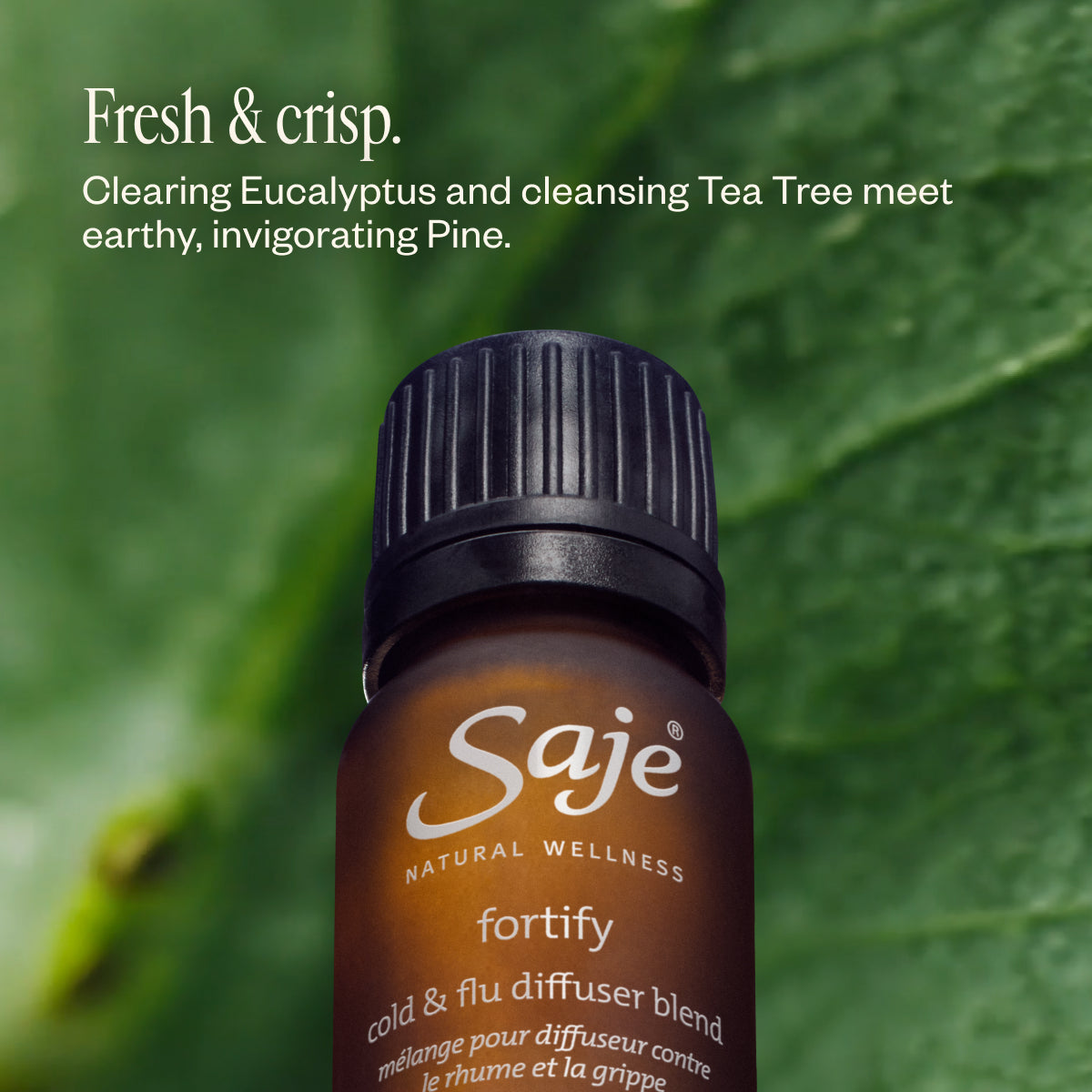 The Cocoon Collection | White