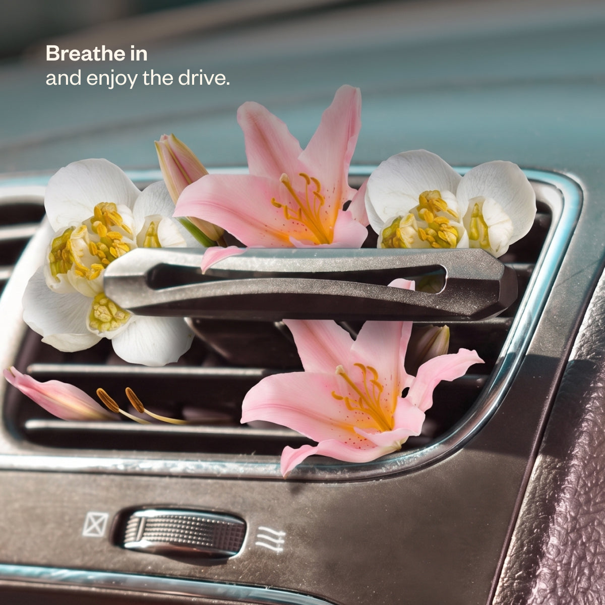 Drive Happy