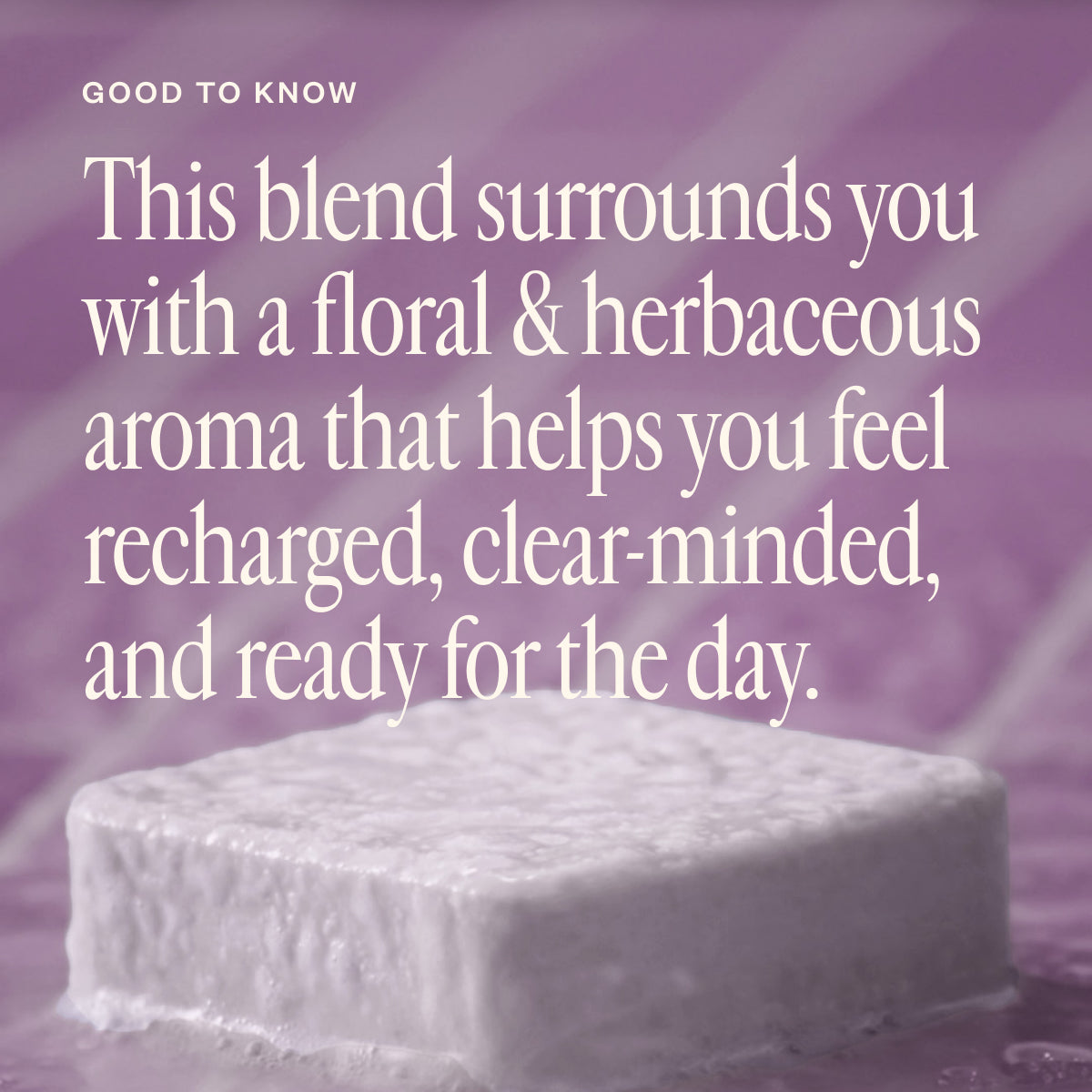 Lavender & Friends