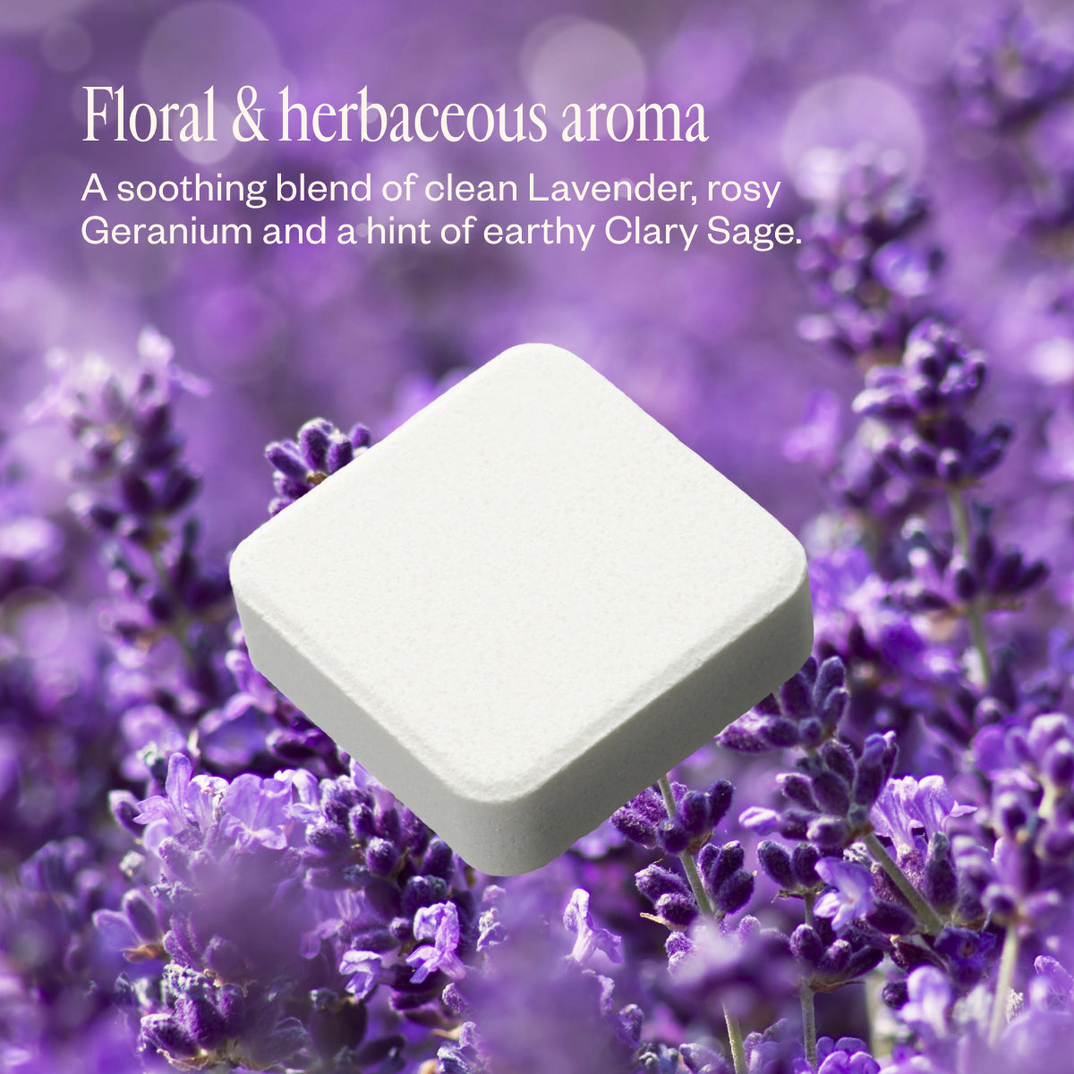 Fresh Bloom