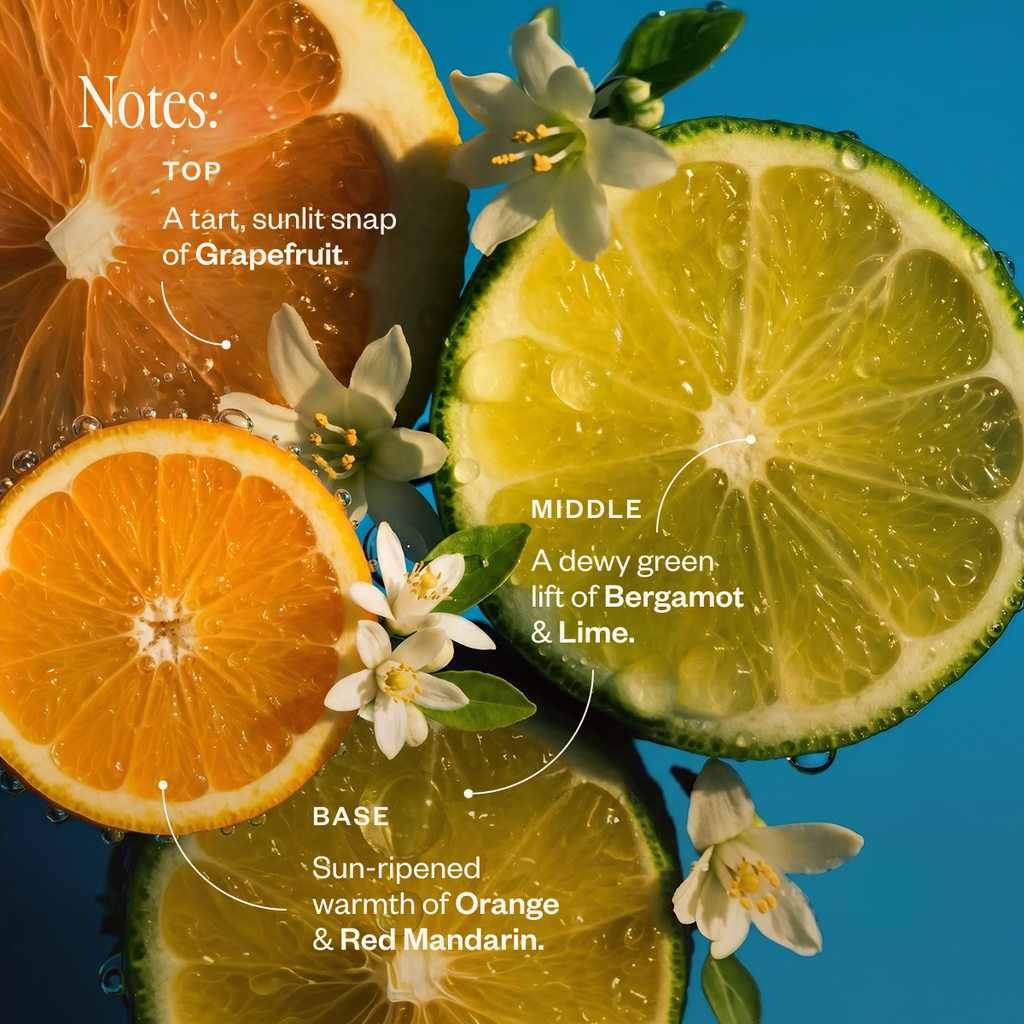All-day Atmosphere